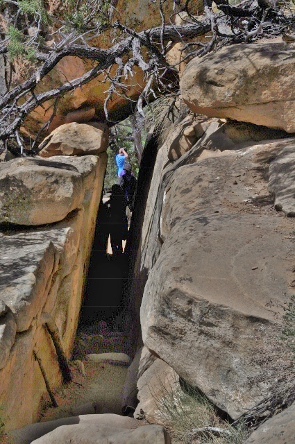 The Petroglyph Trail 